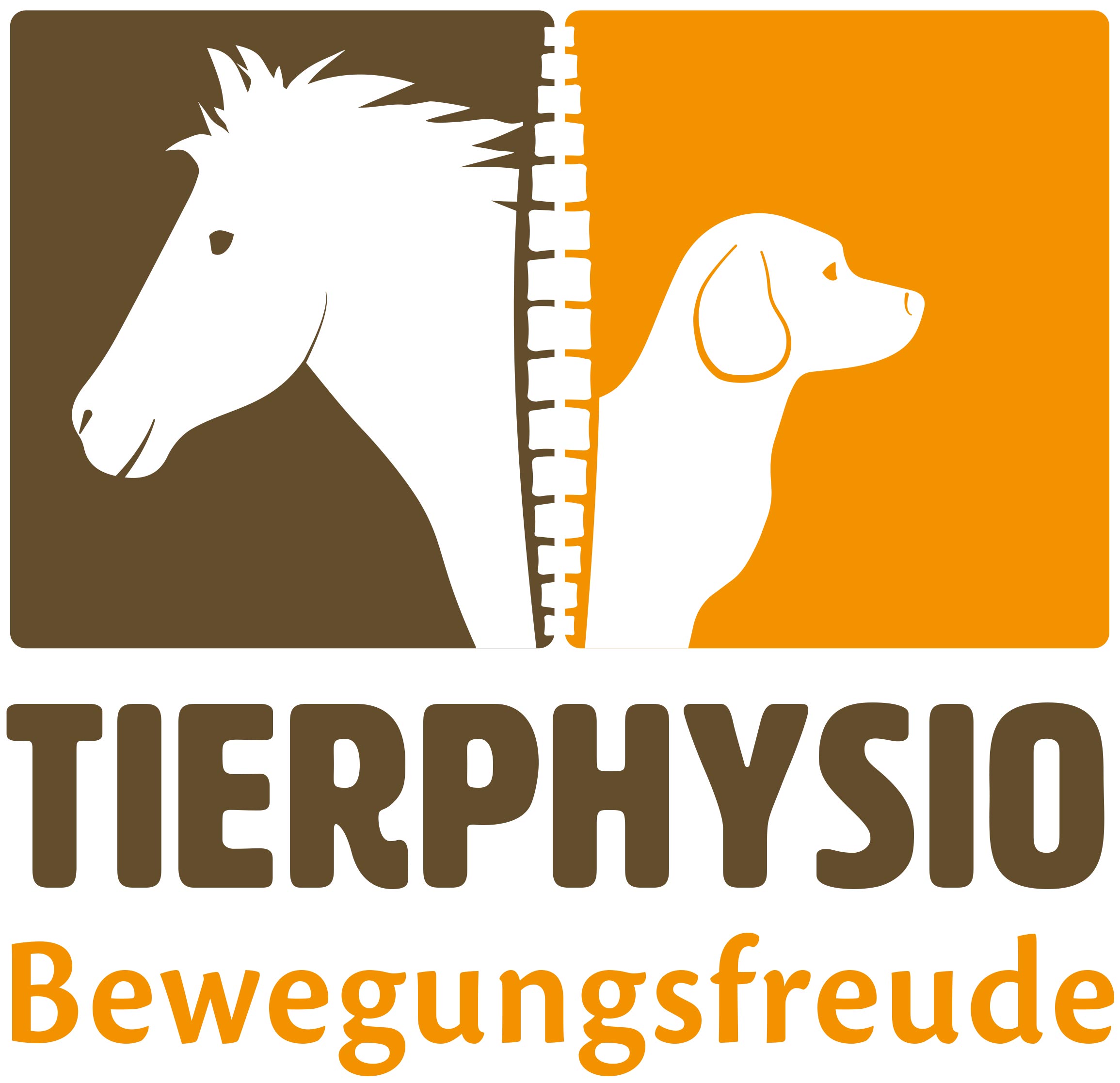 Tierphysio Bewegungsfreude